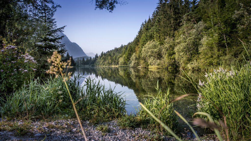 Berge und Isar in den Alpen - Natur
bild